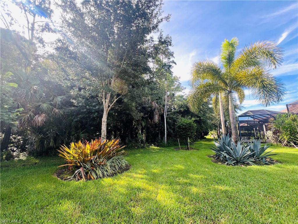 6574 Amarone Lane Naples, FL 34113 - Photo 31 of 47 Backyard