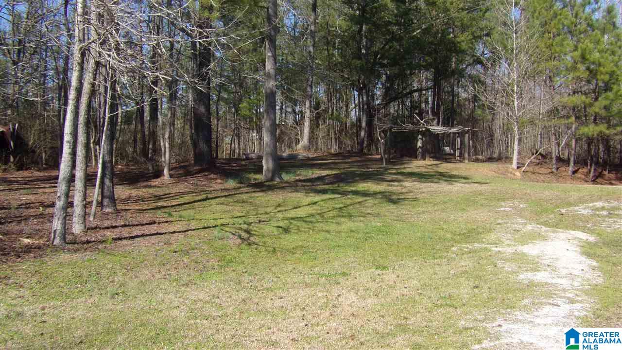 13691 Hosmer Road Vance, AL 35490 - Photo 7 of 50