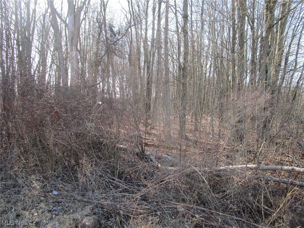 1 Middle Road Pierpont, OH 44082 - Photo 2 of 14