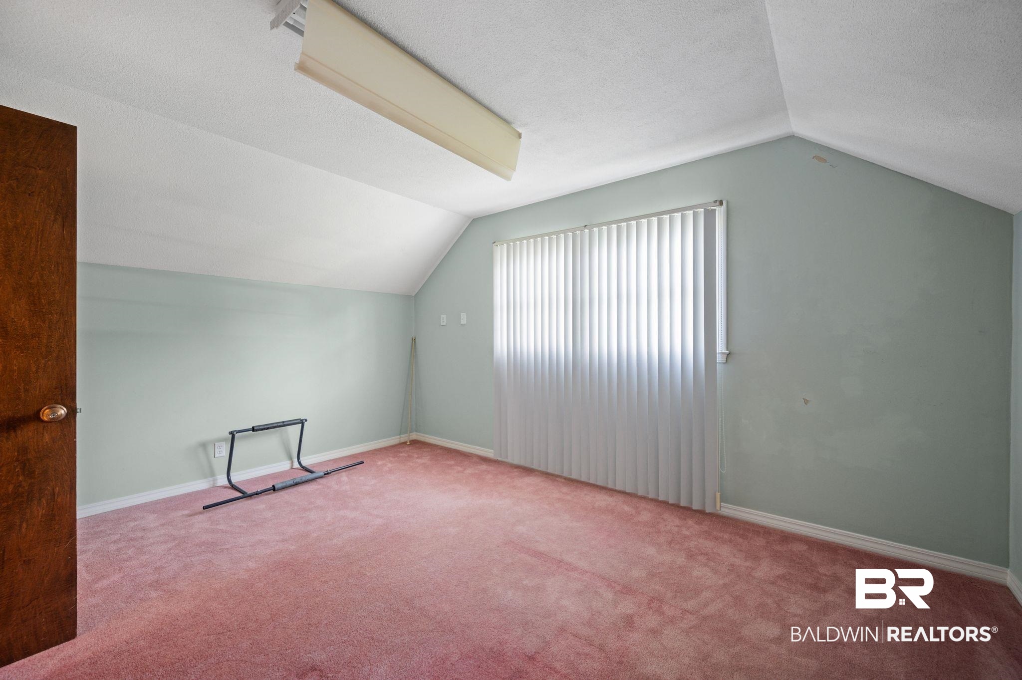 950 Walter Smith Road Mobile, AL 36695 - Photo 22 of 51 Additional living space featuring lofted ceiling, carpet floors, and baseboards