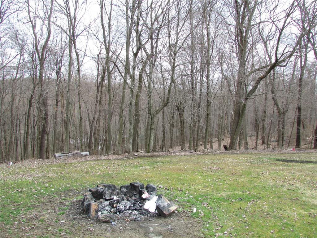 168 Gibson Hill Road Georgetown, PA 15043 - Photo 6 of 19 Side yard with a wooded view.