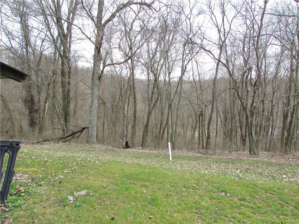 168 Gibson Hill Road Georgetown, PA 15043 - Photo 7 of 19 View from rear of home 2.52 acres M/L.