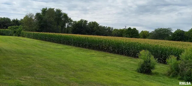 a view of a big yard with plants and large trees