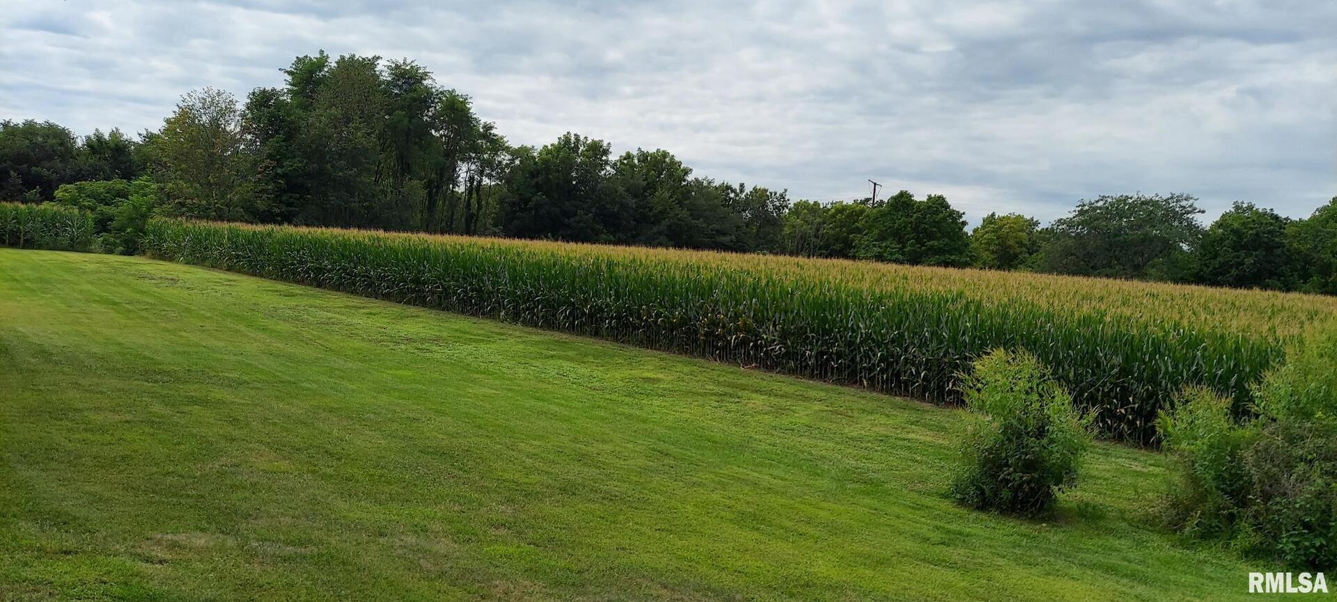 2390 Highway 150 Rio, IL 61472 - Photo 9 of 37 a view of a big yard with plants and large trees