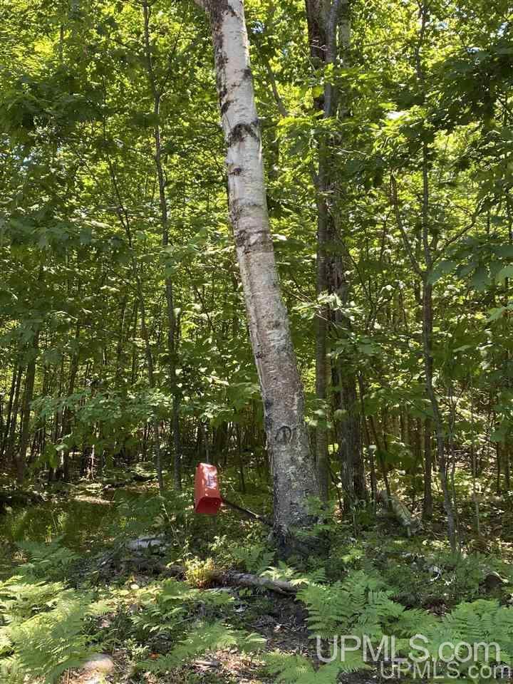 3423 Co Road Big Bay, MI 49808 - Photo 25 of 27