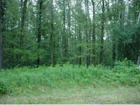 0 Camp Road Hubbardton, VT 05735 - Photo 1 of 5