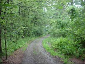 0 Camp Road Hubbardton, VT 05735 - Photo 4 of 5