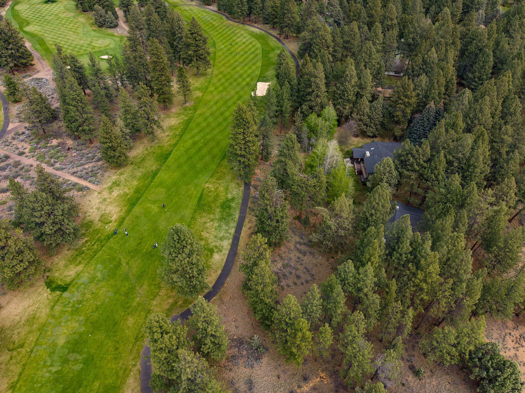 20316 Donkey Sled Road Bend, OR 97702 - Photo 43 of 50 a view of a garden