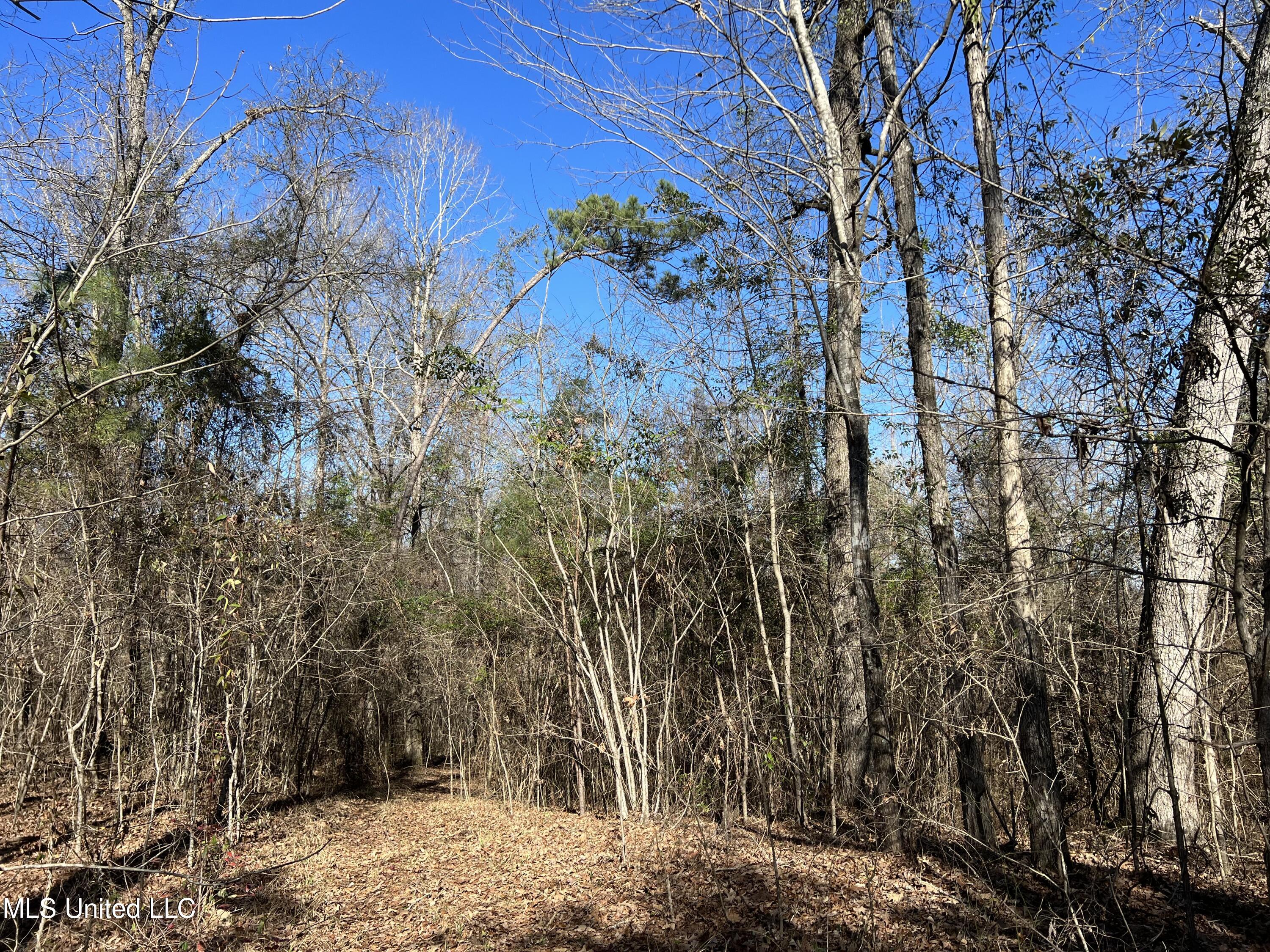 0 West Petros Road Pearl, MS 39208 - Photo 11 of 11 IMG_3214