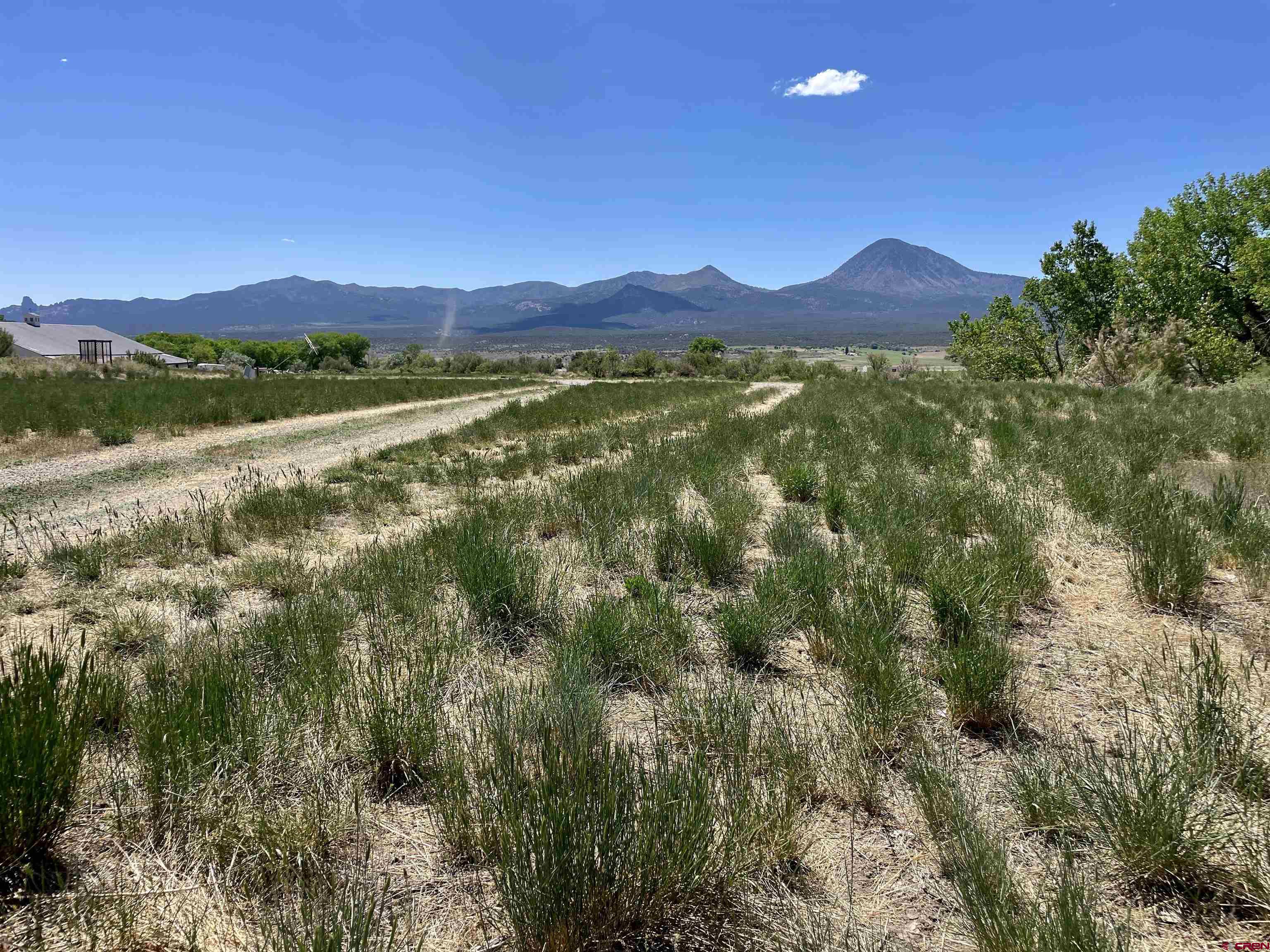 2229 Highway 160 Cortez, CO 81321 - Photo 12 of 28