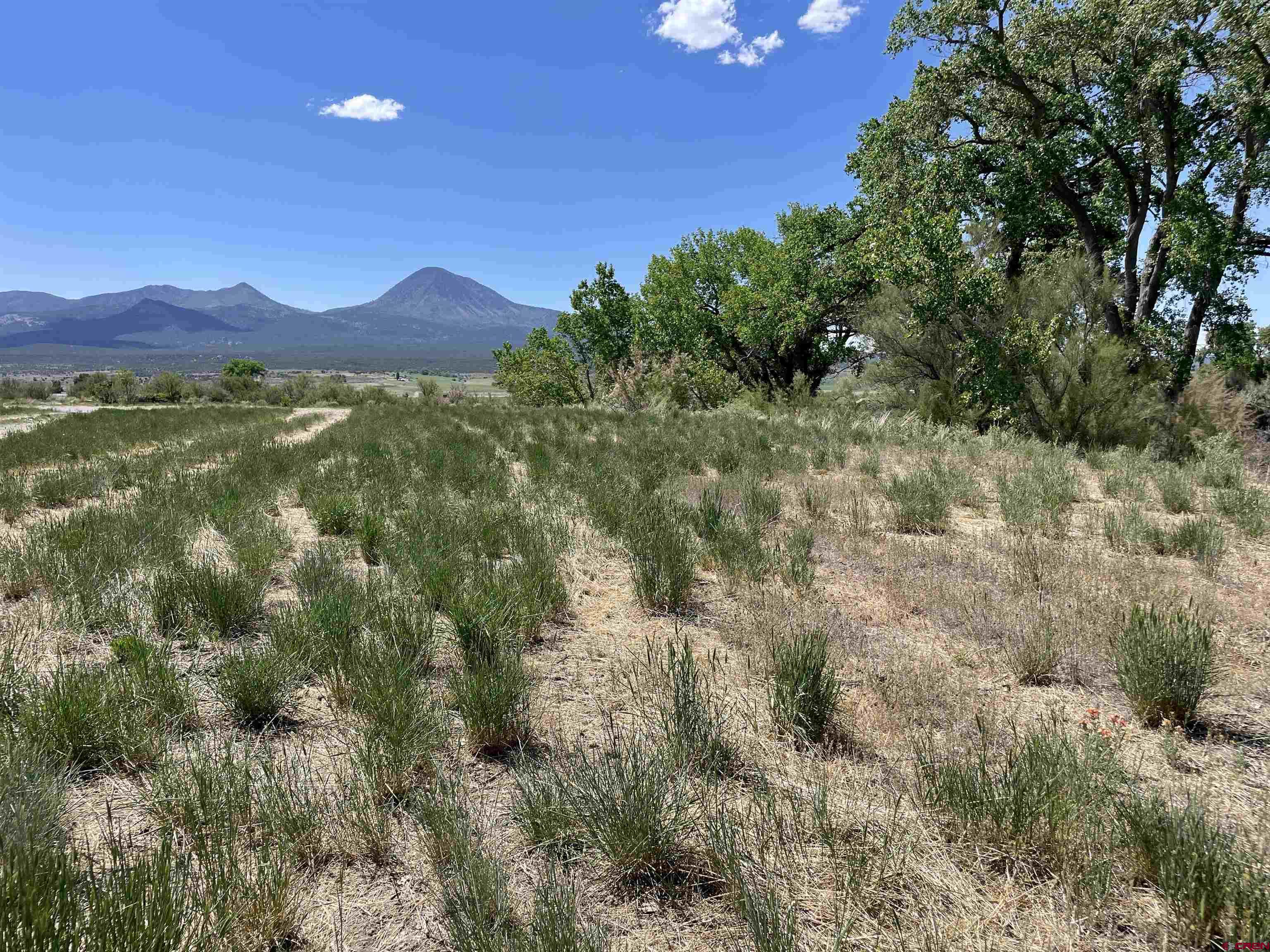 2229 Highway 160 Cortez, CO 81321 - Photo 13 of 28