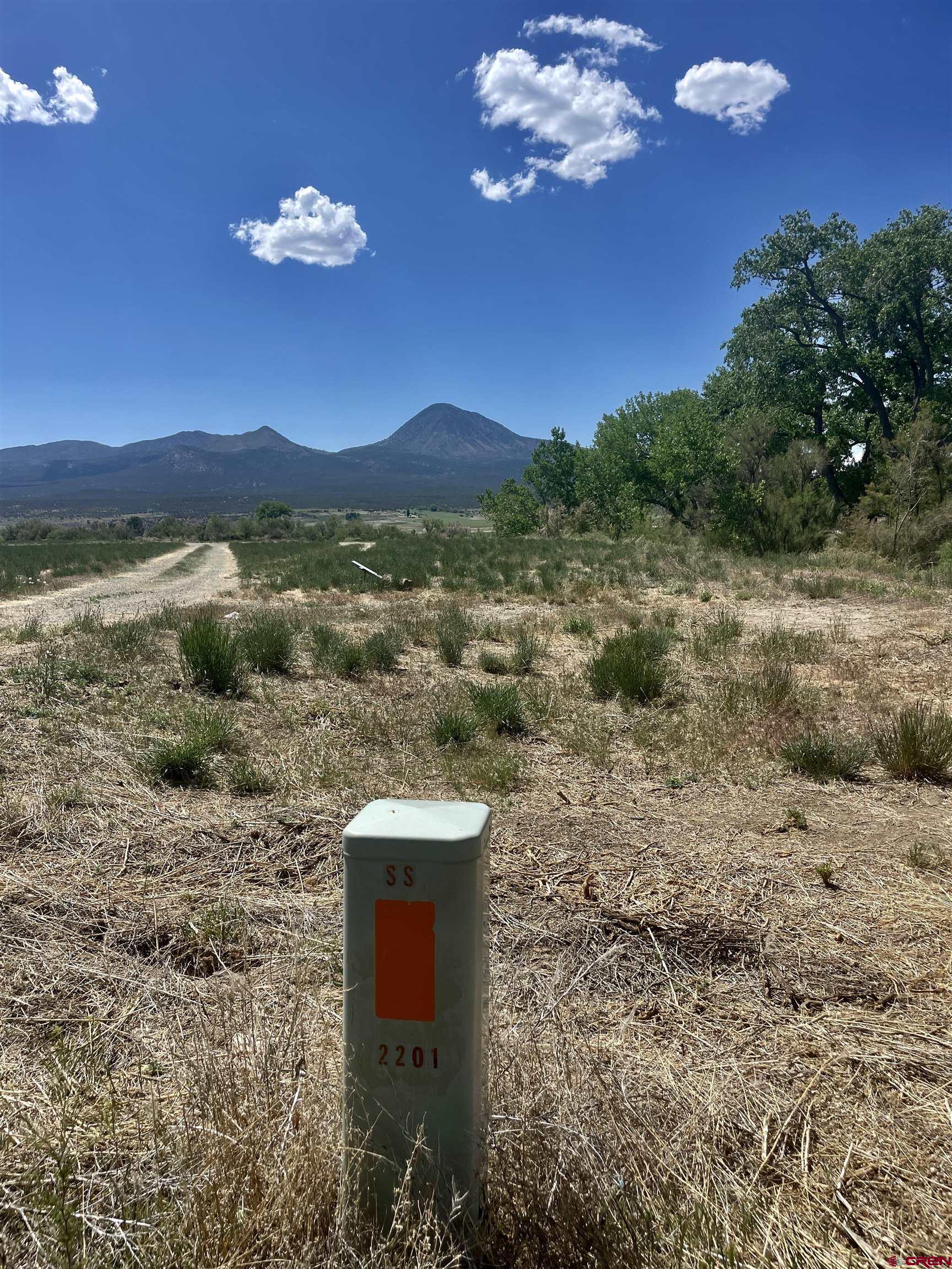 2229 Highway 160 Cortez, CO 81321 - Photo 15 of 28