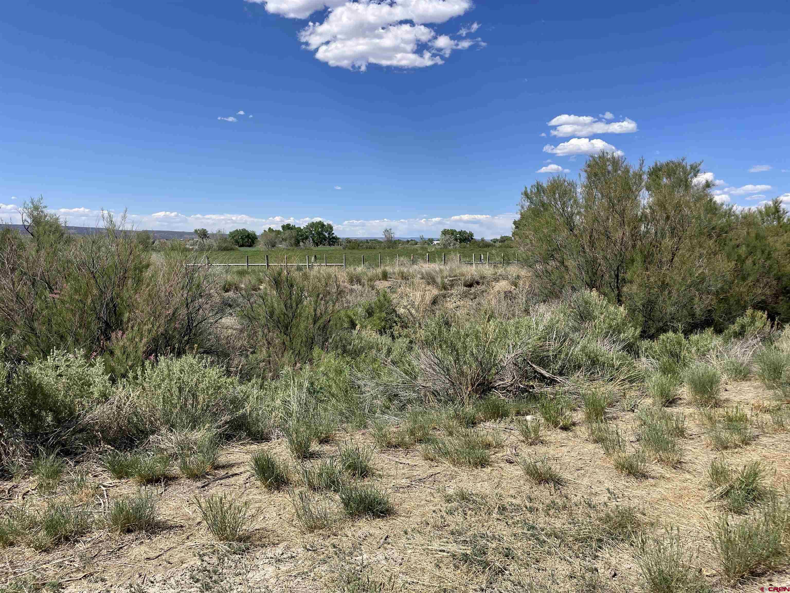 2229 Highway 160 Cortez, CO 81321 - Photo 18 of 28