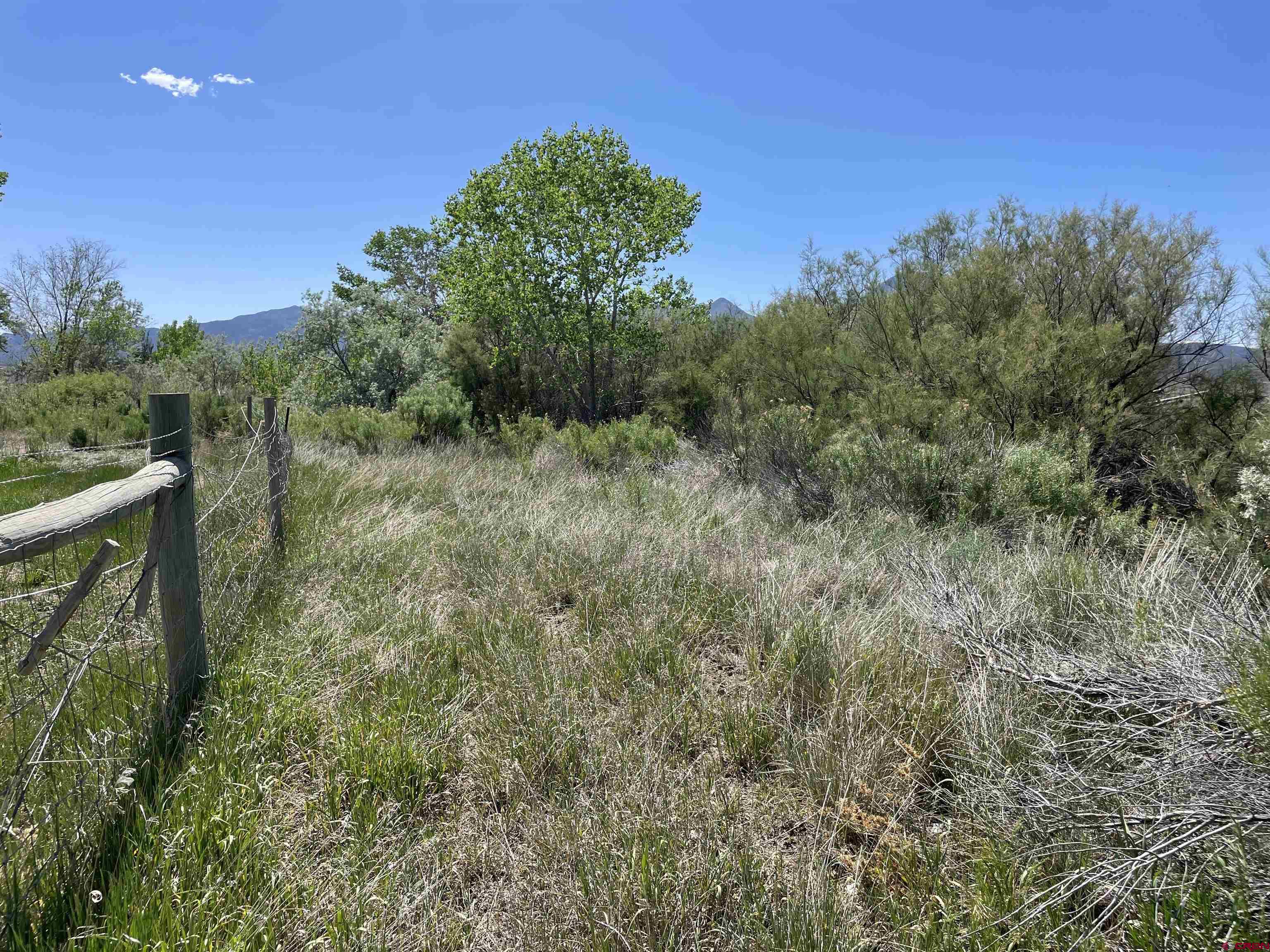 2229 Highway 160 Cortez, CO 81321 - Photo 19 of 28