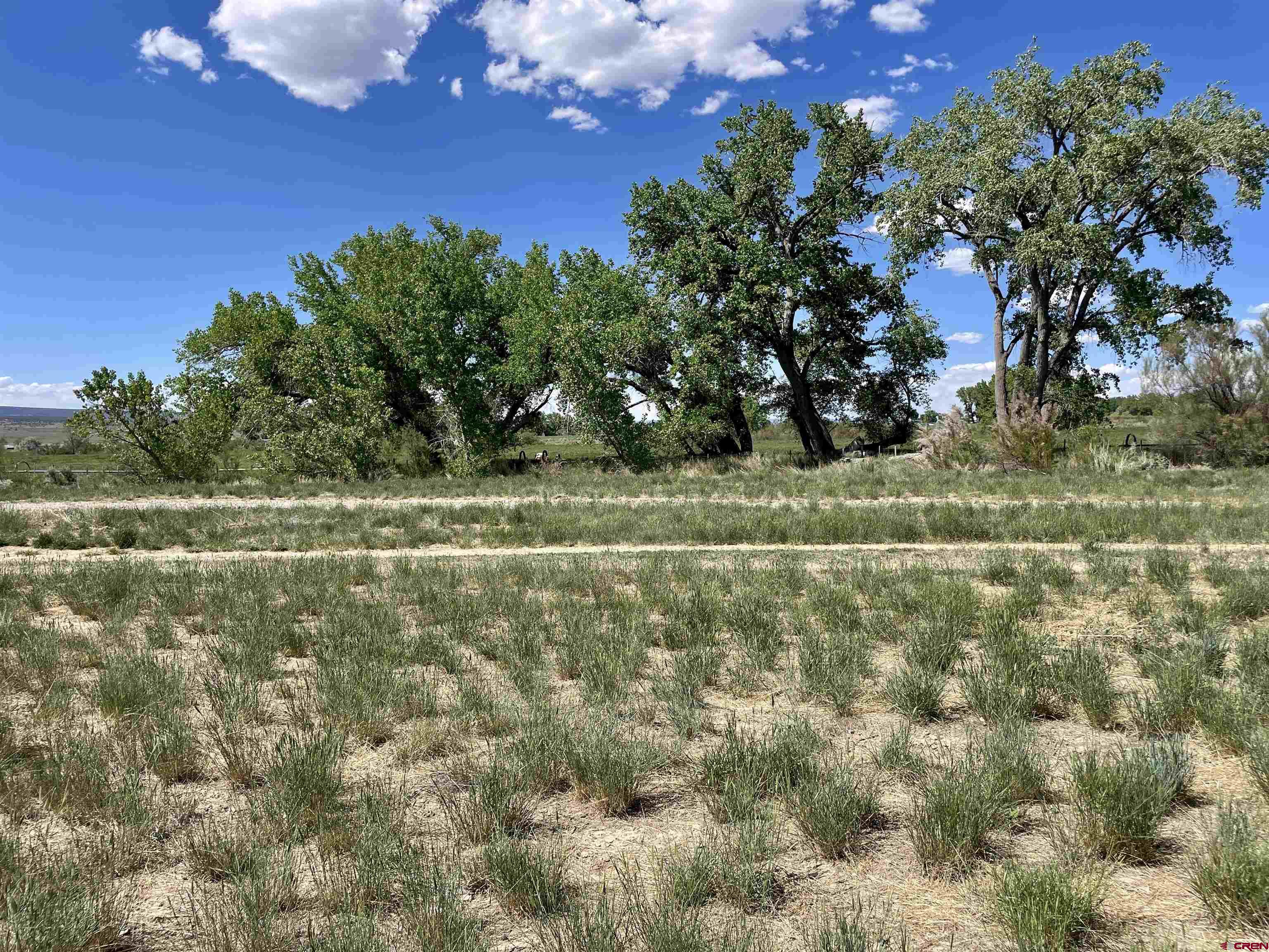 2229 Highway 160 Cortez, CO 81321 - Photo 2 of 28