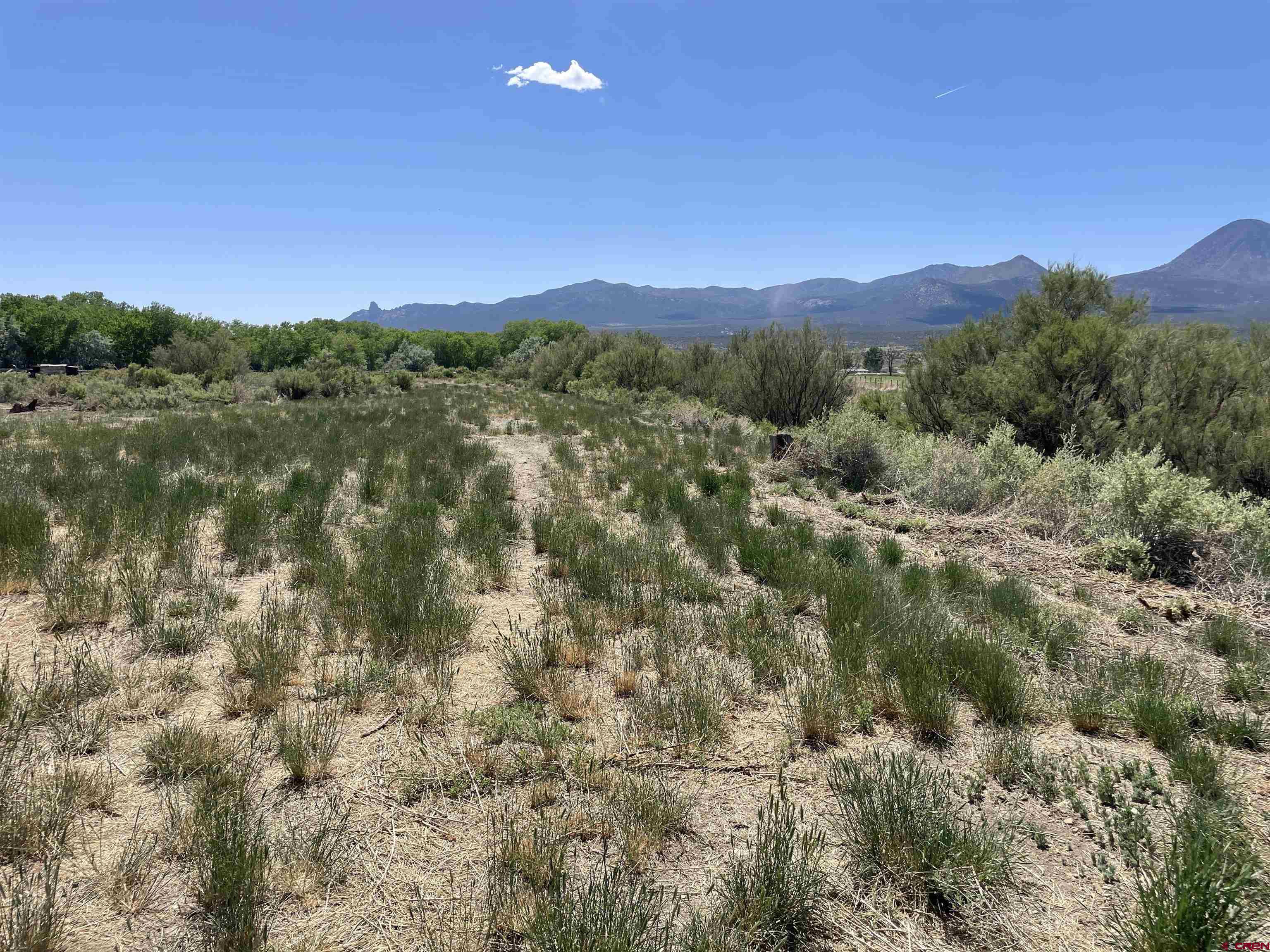 2229 Highway 160 Cortez, CO 81321 - Photo 22 of 28