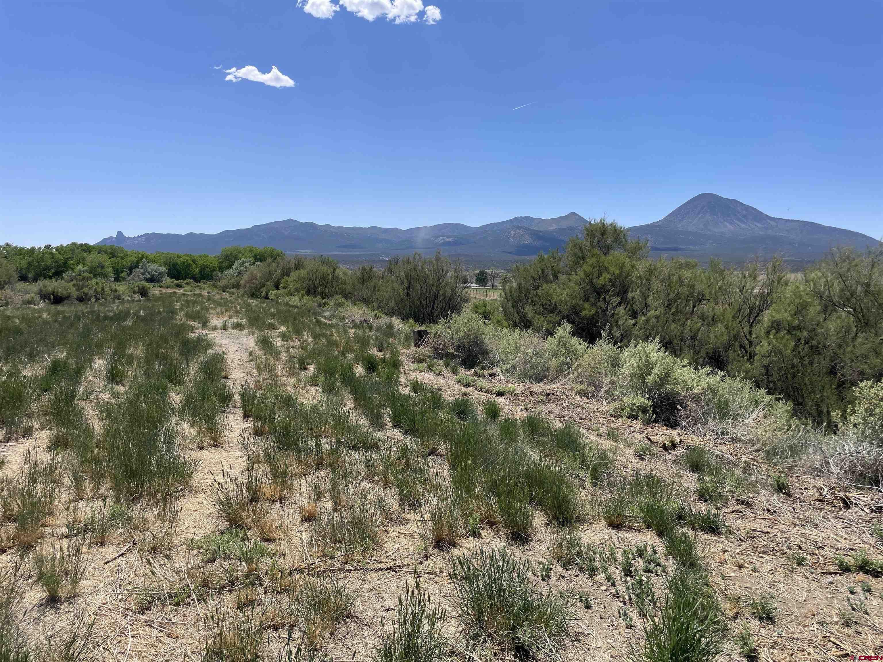 2229 Highway 160 Cortez, CO 81321 - Photo 23 of 28