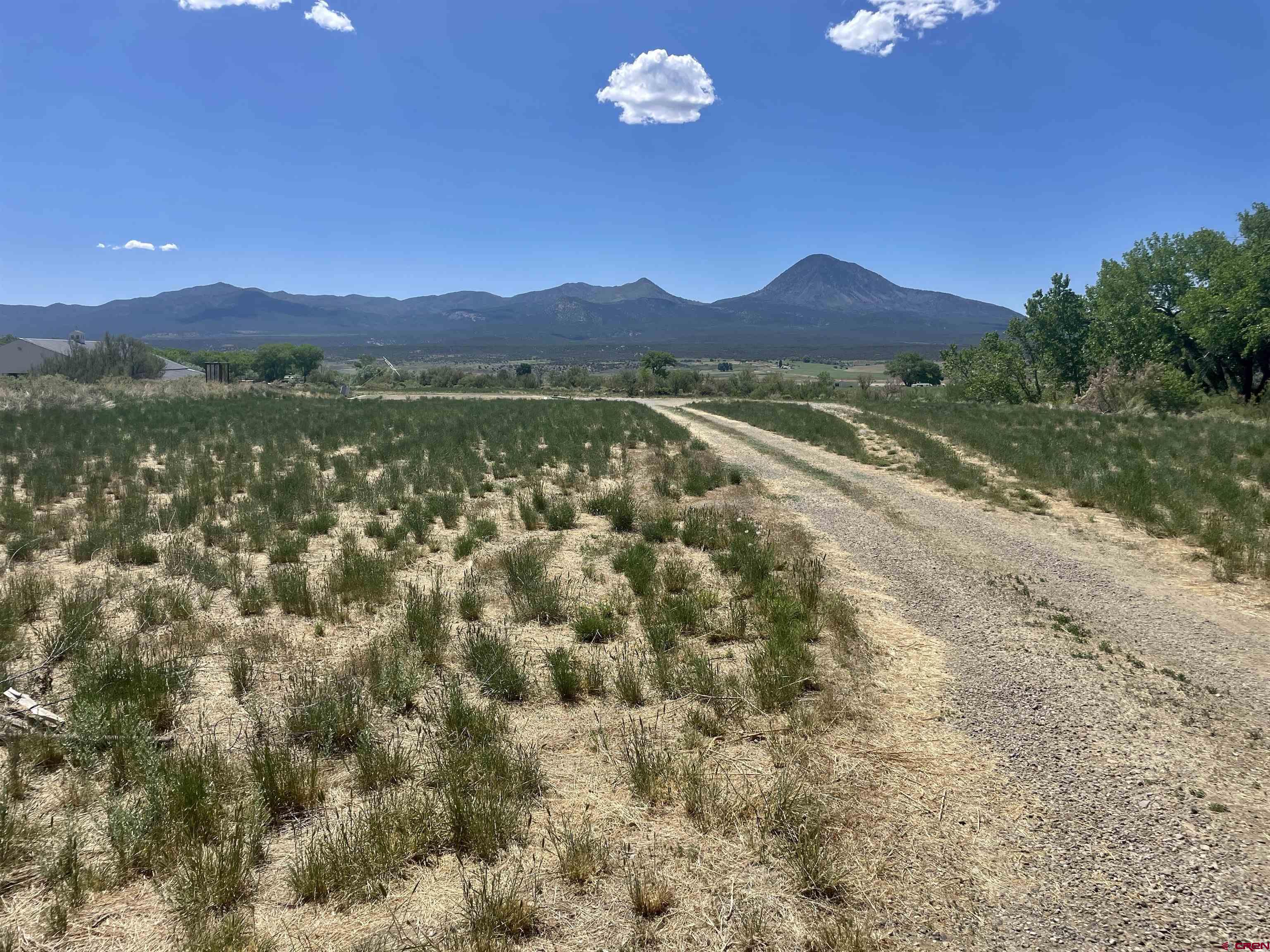 2229 Highway 160 Cortez, CO 81321 - Photo 4 of 28