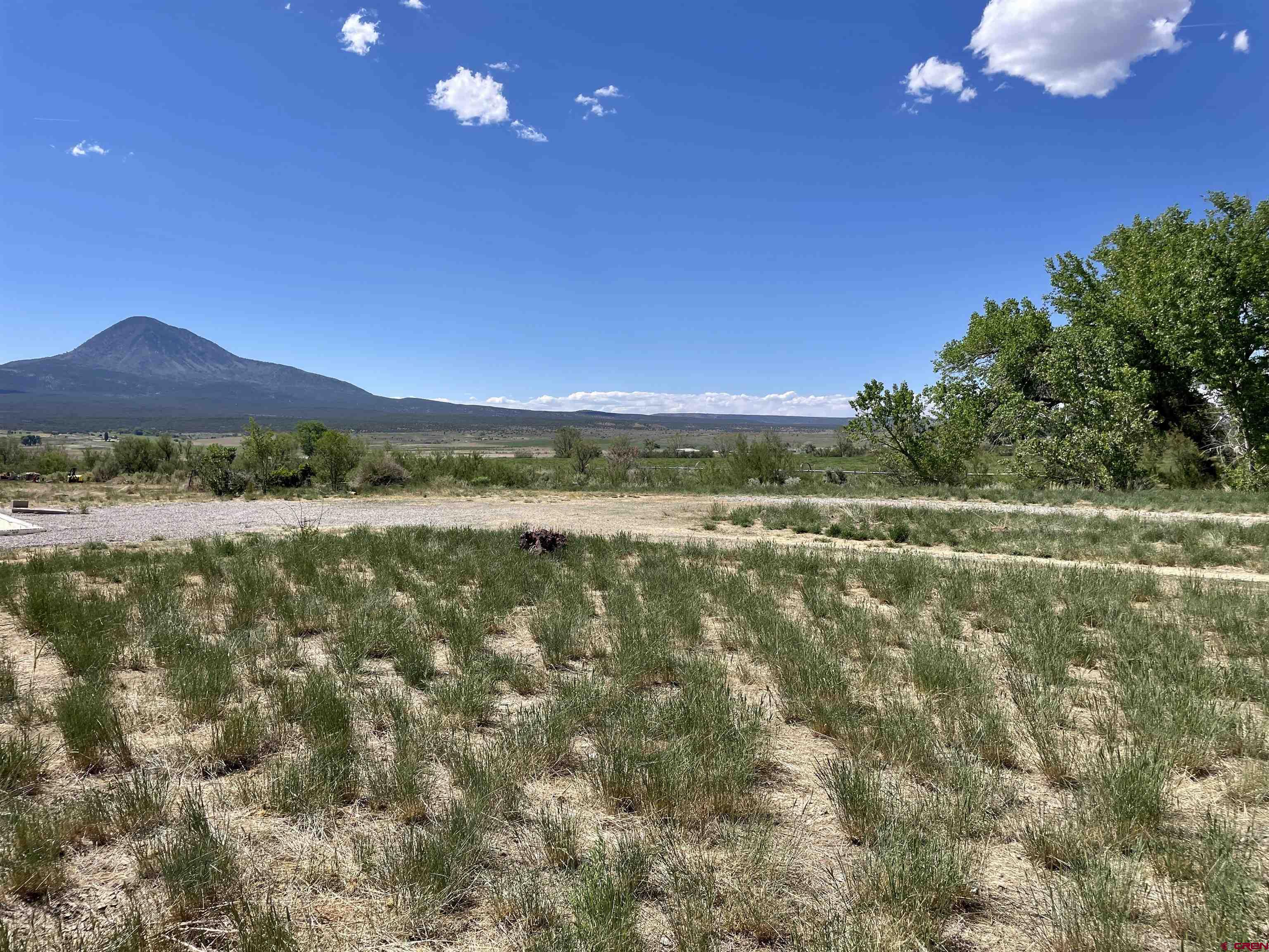 2229 Highway 160 Cortez, CO 81321 - Photo 9 of 28