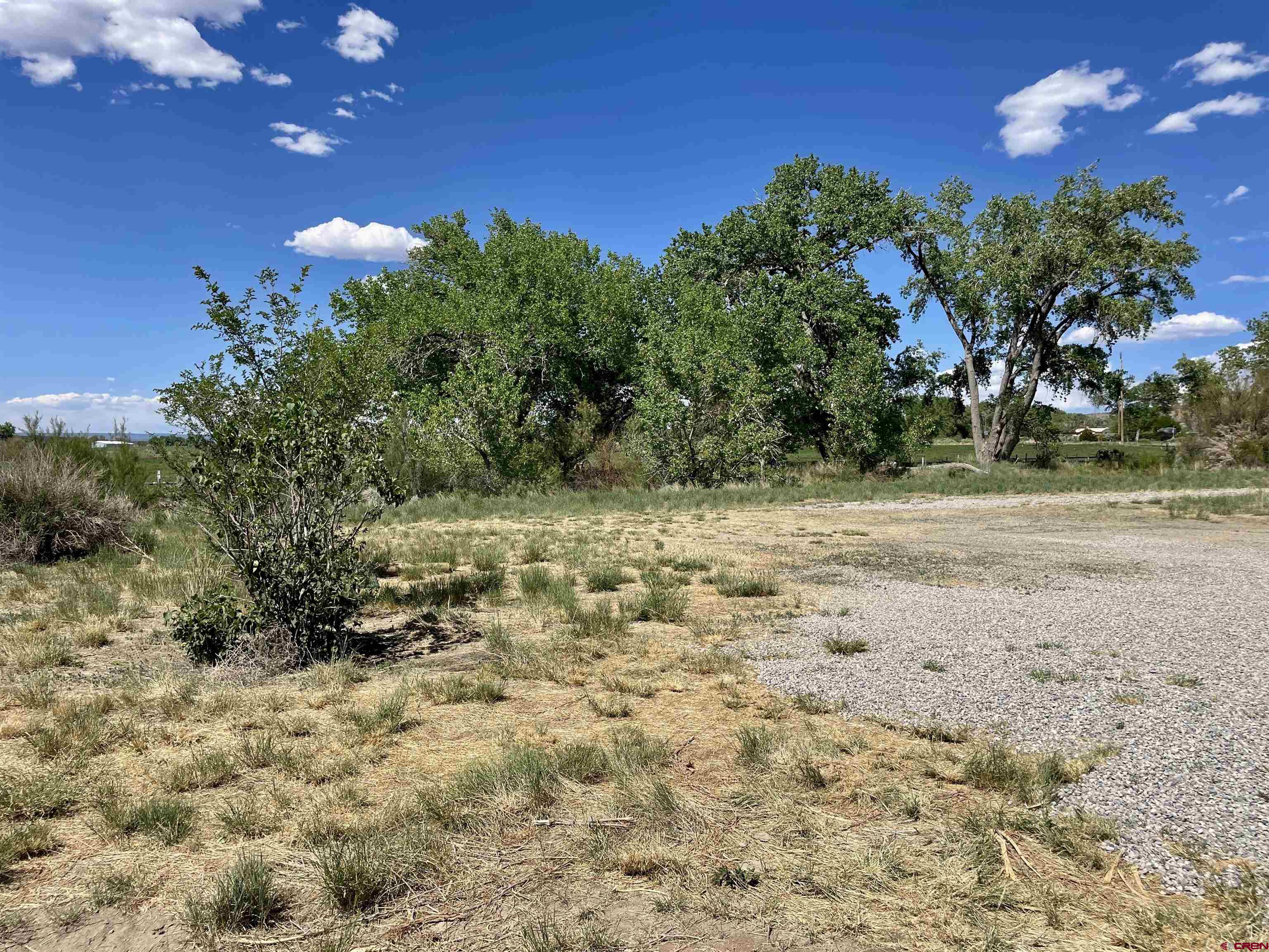 2229 Highway 160 Cortez, CO 81321 - Photo 10 of 28