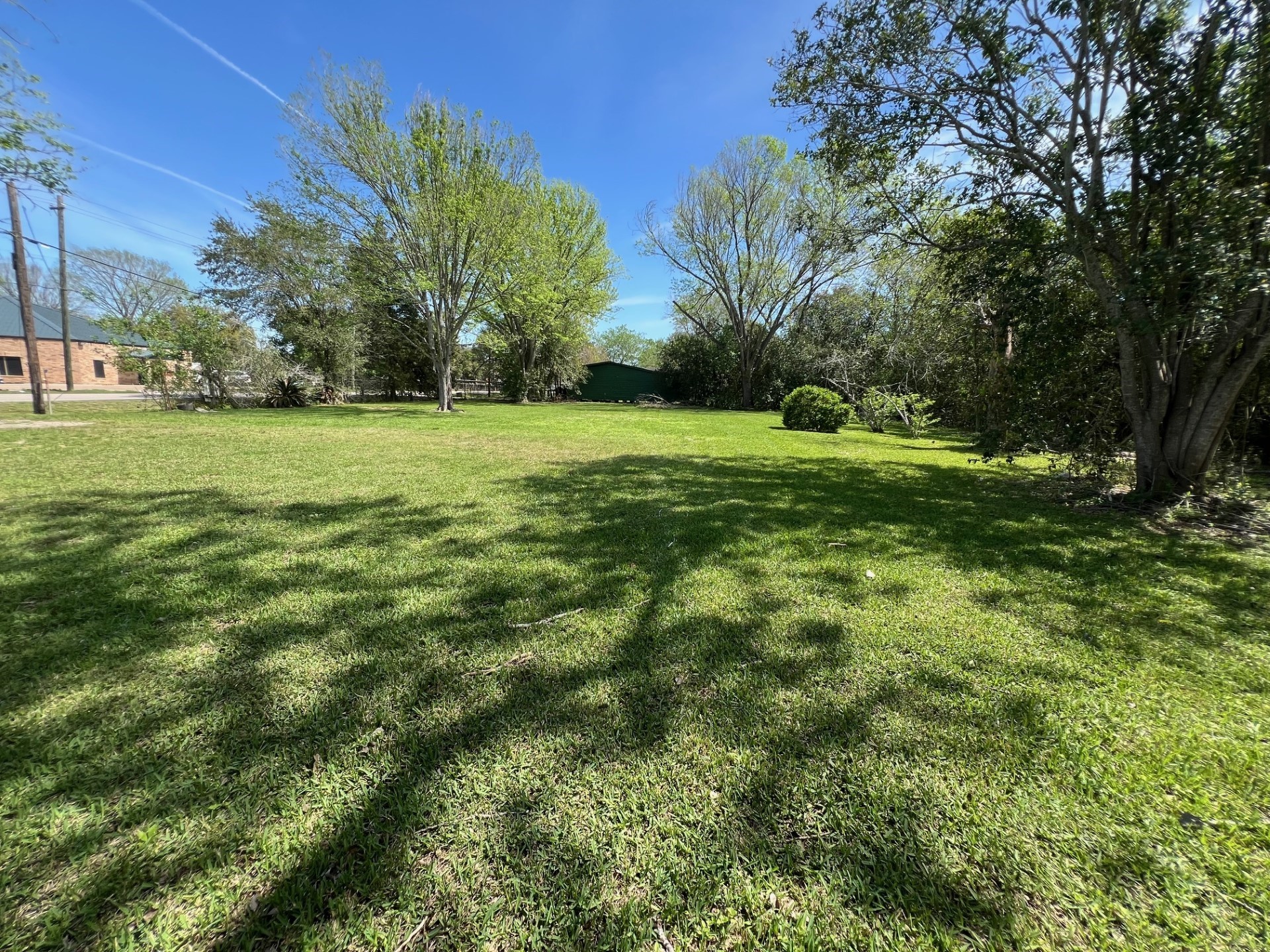 a view of a field of grass and trees