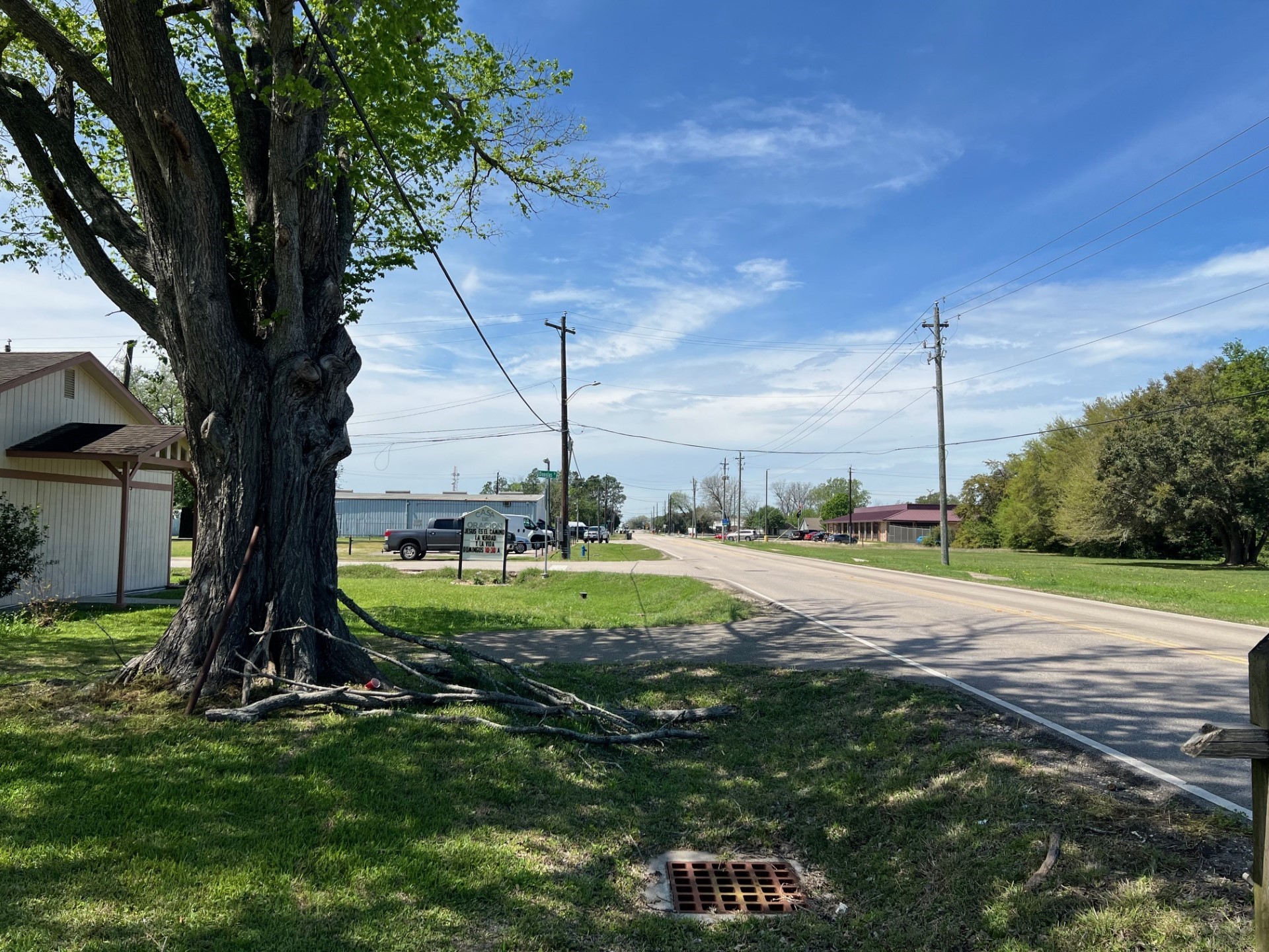 3414 East Walnut Street Pearland, TX 77581 - Photo 11 of 11 a view of a yard with a tree