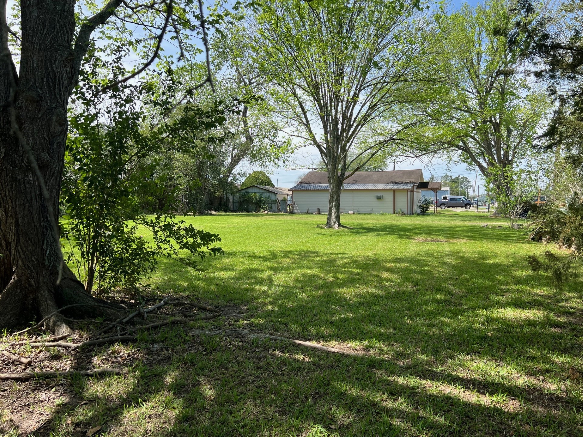 3414 East Walnut Street Pearland, TX 77581 - Photo 7 of 11 a tall tree in middle of green field