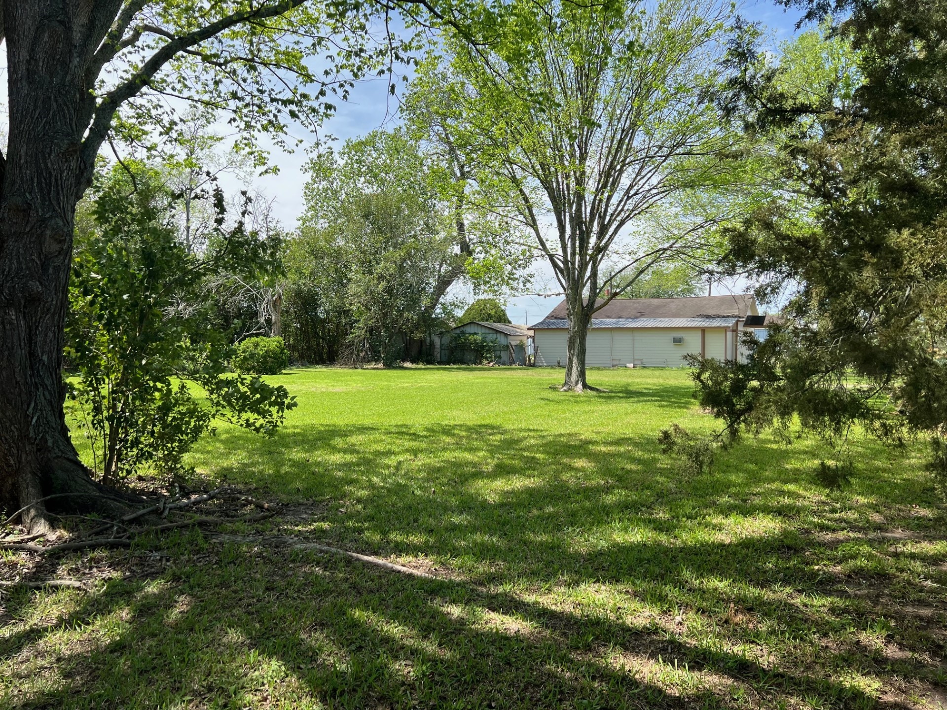 3414 East Walnut Street Pearland, TX 77581 - Photo 8 of 11 a view of yard with tree s