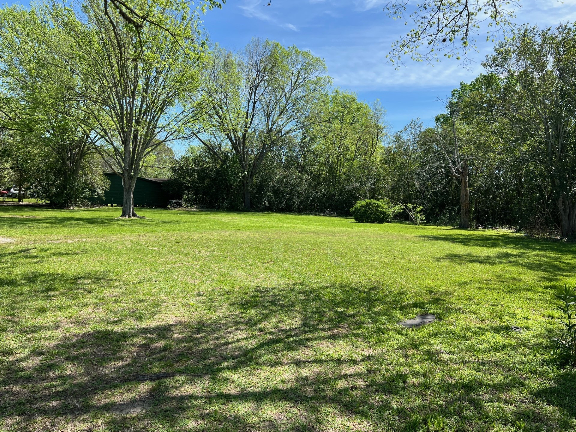 3414 East Walnut Street Pearland, TX 77581 - Photo 10 of 11 a view of a big yard with trees in the background