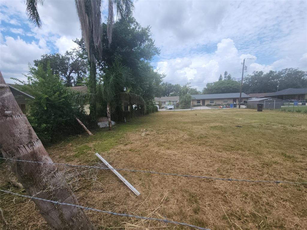 5232 Pine Street Seffner, FL 33584 - Photo 11 of 12 a view of a big yard with large trees