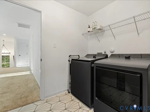 a view of a forest with trees in the background