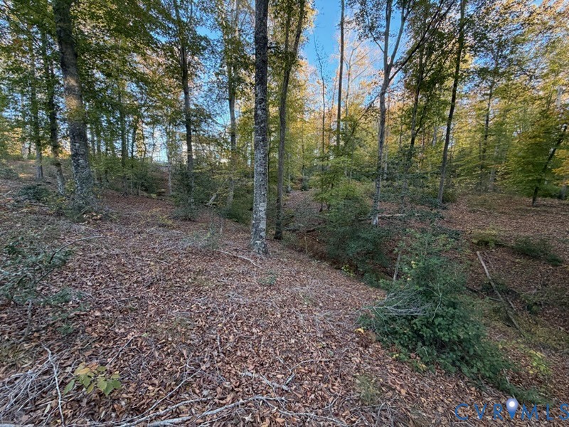4021 Tredon Road Mechanicsville, VA 23111 - Photo 49 of 50 a view of a forest with trees in the background