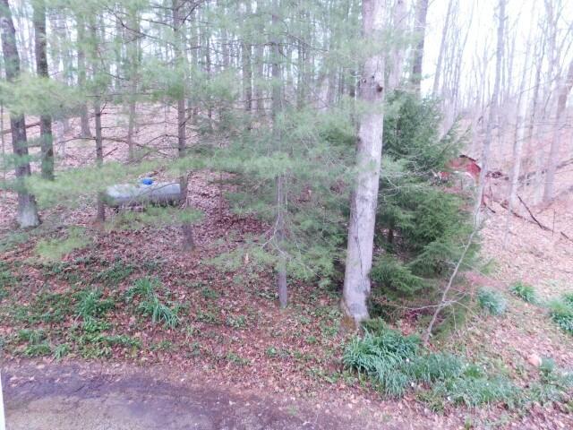 11480 Walnut Dowler Road Logan, OH 43138 - Photo 24 of 26 036