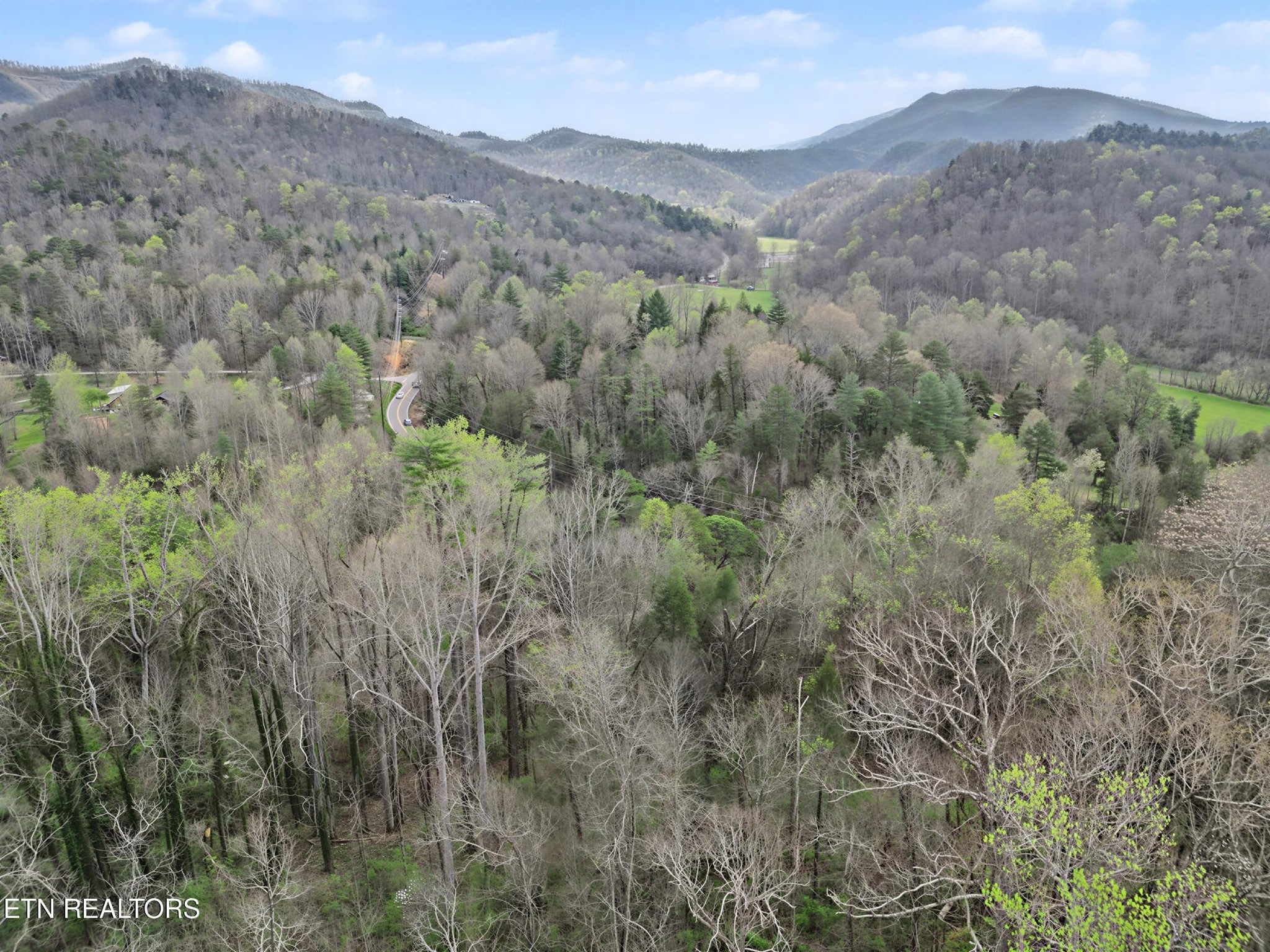 0 Wears Valley Road Townsend, TN 37882 - Photo 14 of 31 Gallery Image 14