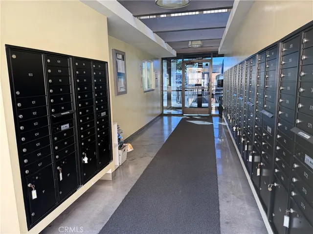 a view of backyard with outdoor seating and plants