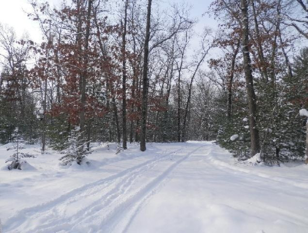 923 North Baker Road Wellston, MI 49689 - Photo 25 of 30 Driveway