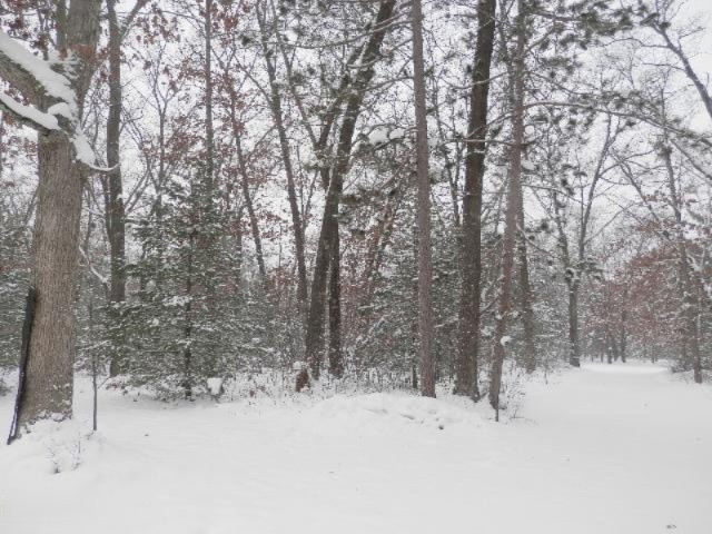 923 North Baker Road Wellston, MI 49689 - Photo 26 of 30 Woods behind home