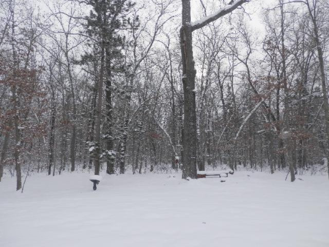 923 North Baker Road Wellston, MI 49689 - Photo 27 of 30 Firepit area