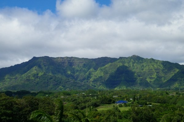 5864 Lokelani Road Kapaa, HI 96746 - Photo 14 of 21 Gallery Image 14