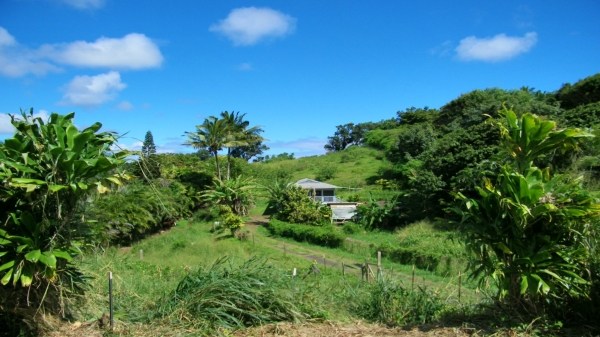 5864 Lokelani Road Kapaa, HI 96746 - Photo 8 of 21 Gallery Image 8