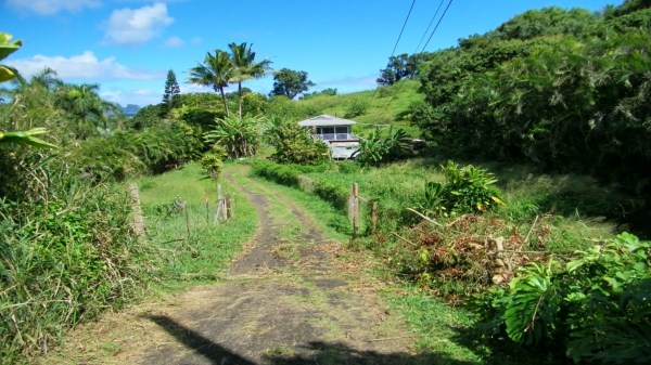 5864 Lokelani Road Kapaa, HI 96746 - Photo 9 of 21 Gallery Image 9