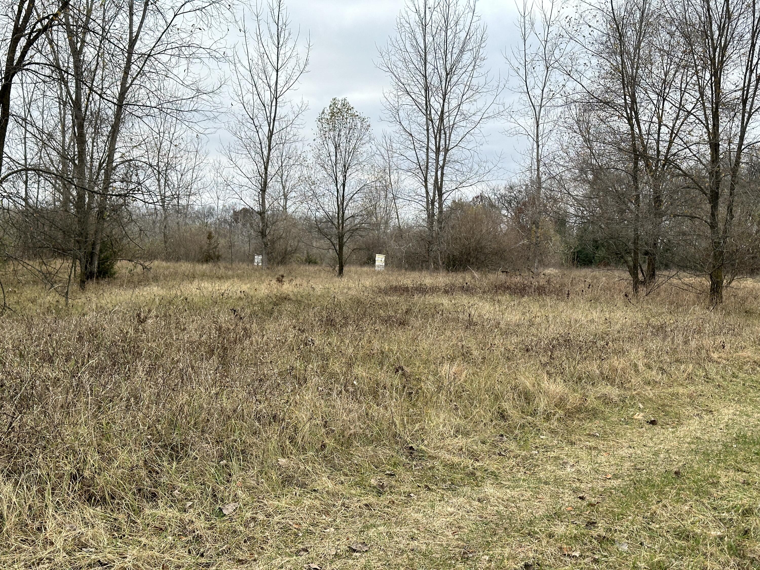 0 Shepper Road Stockbridge, MI 49285 - Photo 15 of 20 IMG_7655