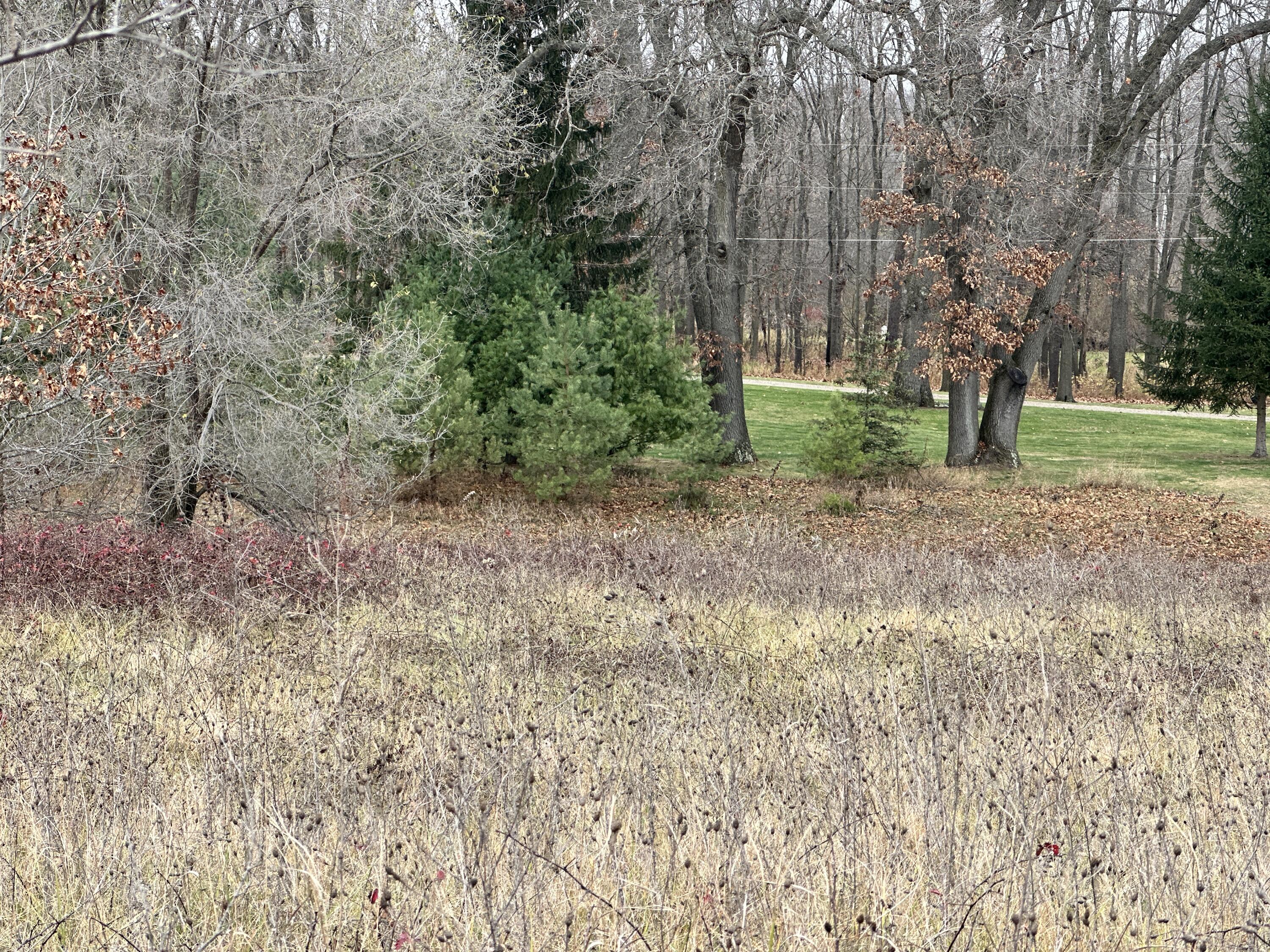 0 Shepper Road Stockbridge, MI 49285 - Photo 18 of 20 IMG_7657