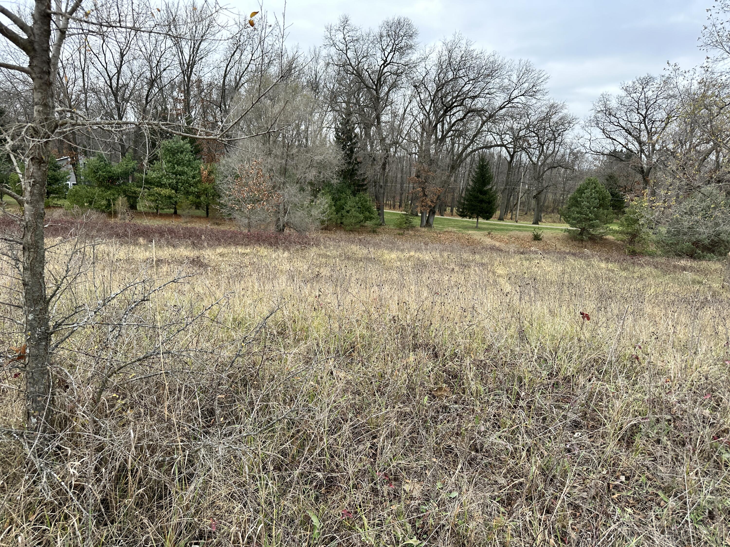 0 Shepper Road Stockbridge, MI 49285 - Photo 19 of 20 IMG_7656