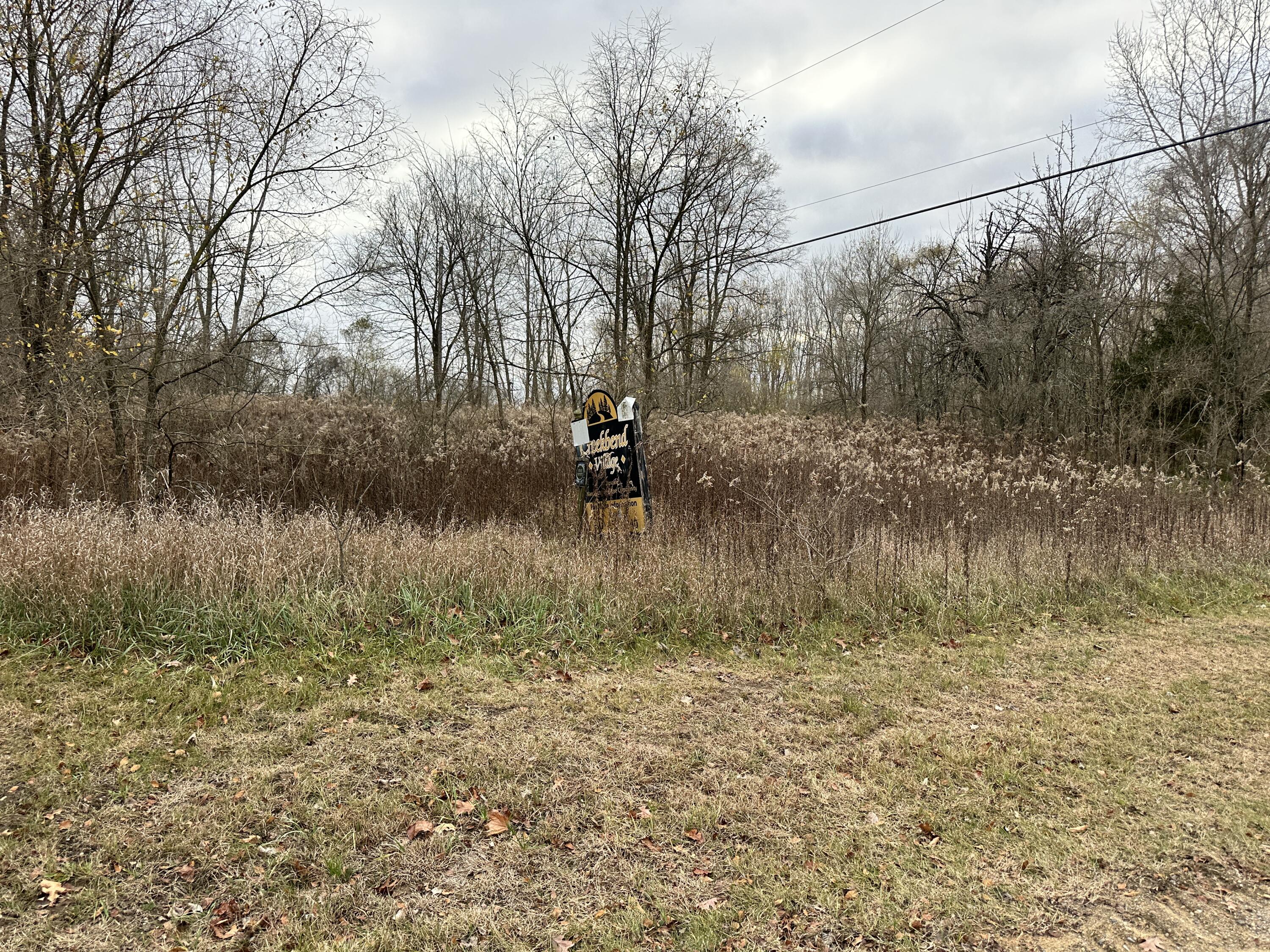 0 Shepper Road Stockbridge, MI 49285 - Photo 2 of 20 IMG_7672