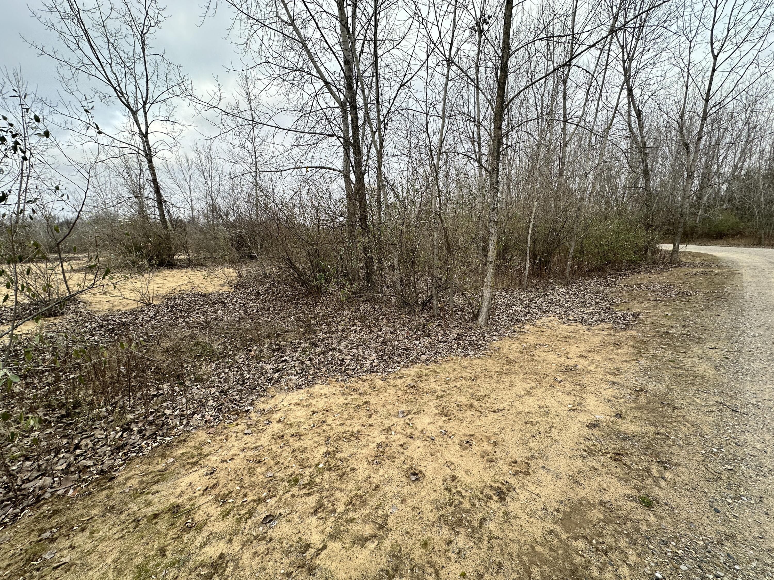 0 Shepper Road Stockbridge, MI 49285 - Photo 6 of 20 IMG_7668