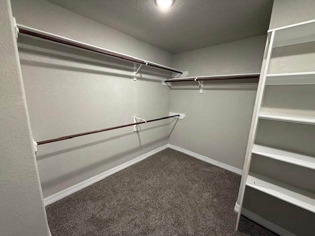 1031 South Anderson Street Angleton, TX 77515 - Photo 18 of 20 a view of an empty walk in closet