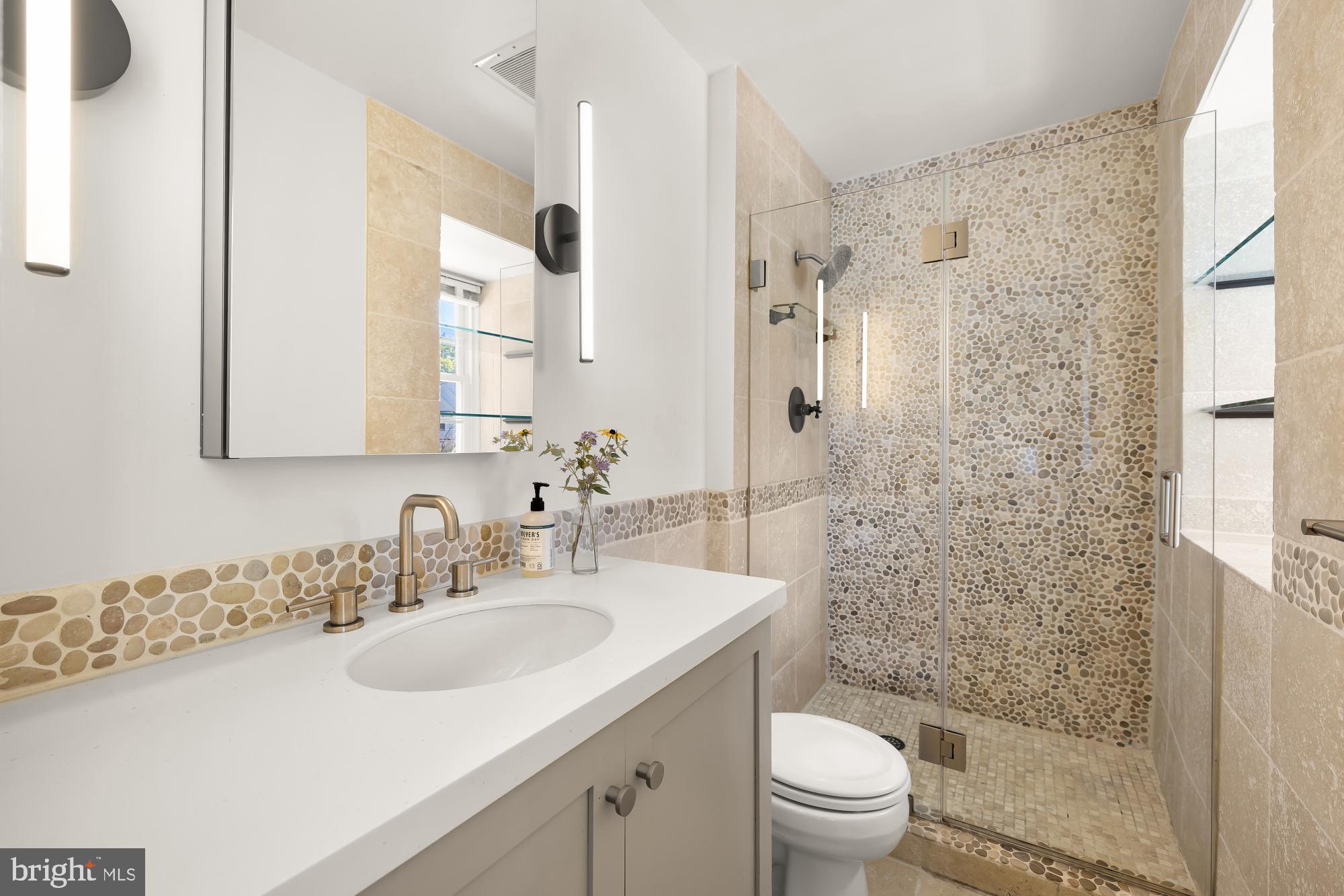 6723 Fairfax Road, Unit 15 Chevy Chase, MD 20815 - Photo 21 of 43 a bathroom with a sink toilet and shower