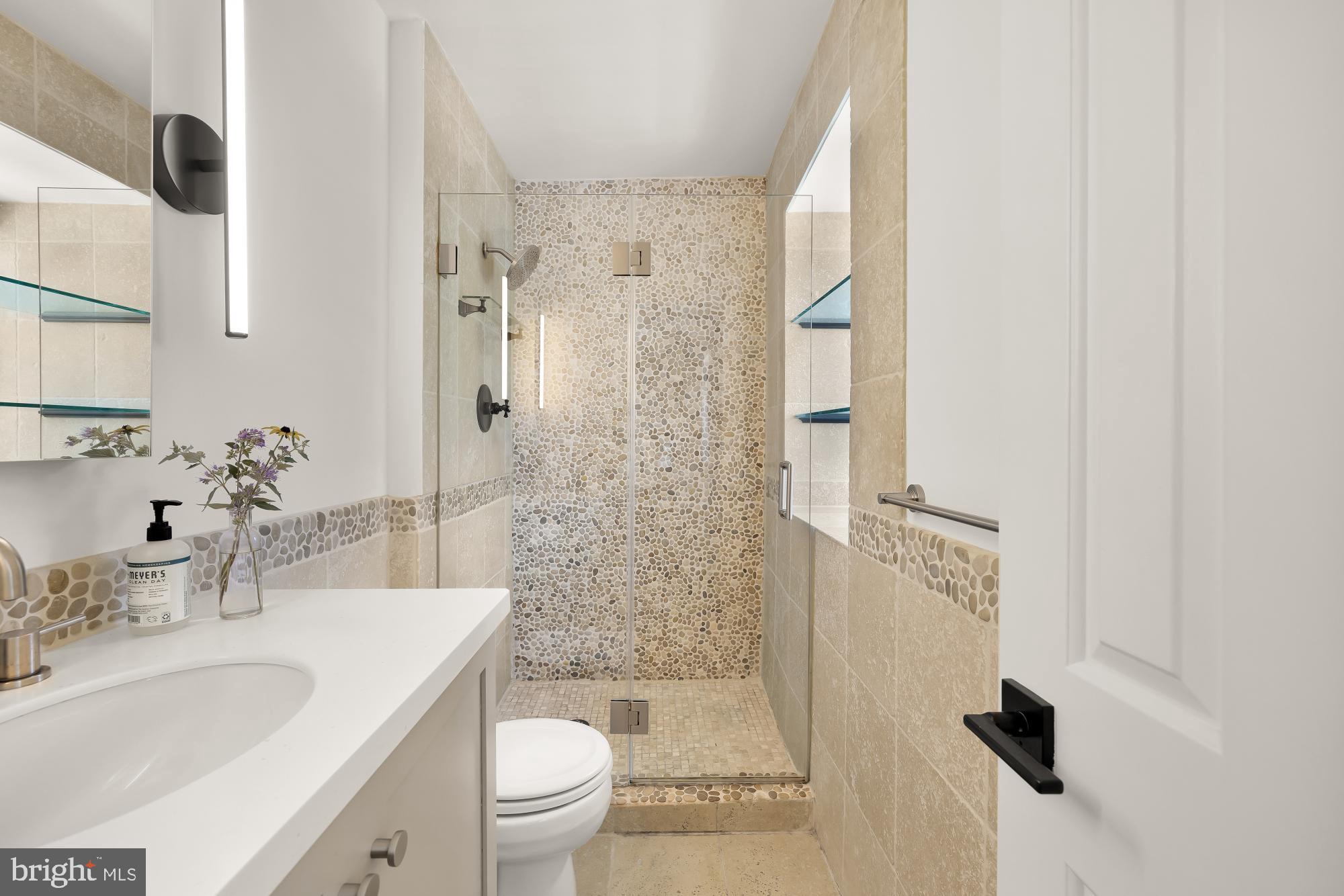 6723 Fairfax Road, Unit 15 Chevy Chase, MD 20815 - Photo 22 of 43 a bathroom with a granite countertop sink a toilet and shower