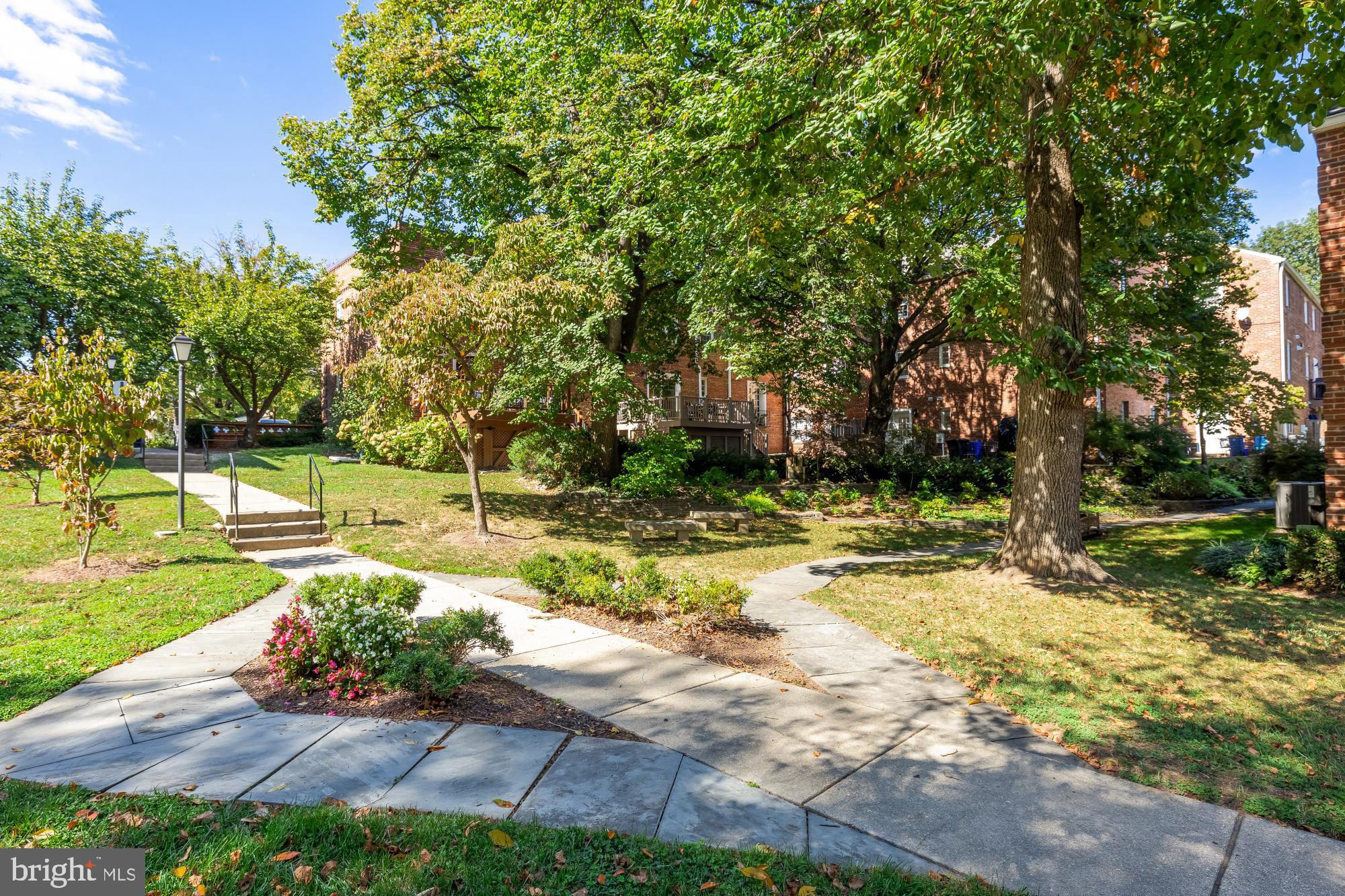 6723 Fairfax Road, Unit 15 Chevy Chase, MD 20815 - Photo 37 of 43 a view of a yard with plants and trees